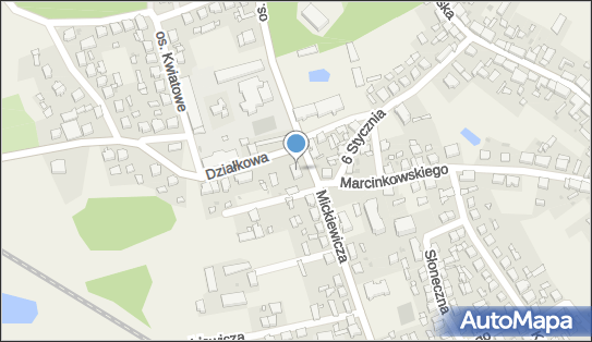 Multi Logistics, Mickiewicza Adama 15, Ryczywół 64-630 - Przedsiębiorstwo, Firma, numer telefonu, NIP: 7661794733