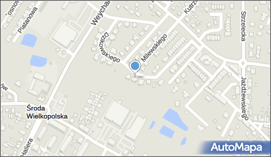 Music Wave, Taczaka Stanisława 33, Środa Wielkopolska 63-000 - Przedsiębiorstwo, Firma, numer telefonu, NIP: 7861683837