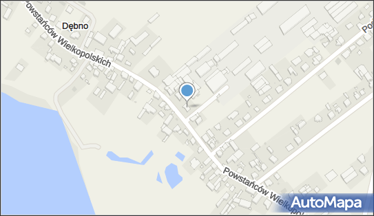 Myjnia Samochodowa, Powstańców Wielkopolskich 30, Dębno 62-060 - Przedsiębiorstwo, Firma, numer telefonu, NIP: 7771419982