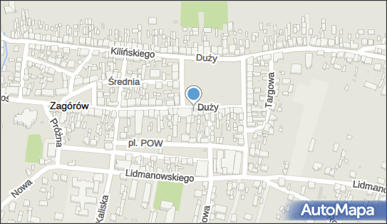 Myszkusy.PL.Katarzyna Michalak, Duży Rynek 34, Zagórów 62-410 - Przedsiębiorstwo, Firma, NIP: 6652678524