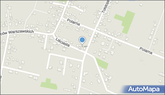 Nadzory i Koordynacja Budów Ag, Liściasta 9, Tarnowskie Góry 42-680 - Przedsiębiorstwo, Firma, NIP: 6251357576