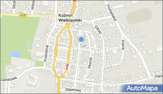 Napoje Alkoholowe, Przyjemskich 22, Koźmin Wielkopolski 63-720 - Przedsiębiorstwo, Firma, NIP: 6211082357