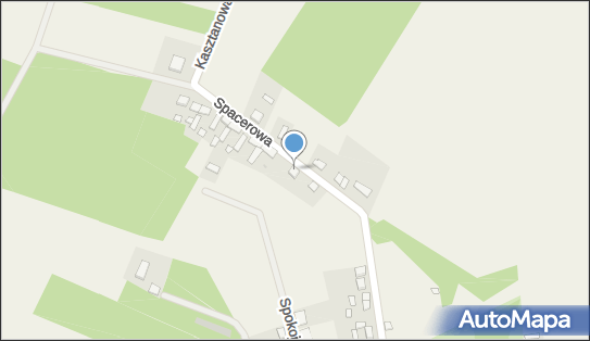 Naprawa Aut Powypadkowych Jacek Polachowski, Krzewina 14, Krzewina 64-810 - Przedsiębiorstwo, Firma, NIP: 7642247409