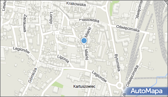 5321087786, Naprawa Instrumentów Muzycznych-Bednarski Adam 