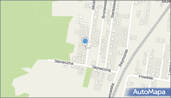 Naprawa Obuwia Mirosław Wiecha, ul. Mickiewicza 8A, Strzebiń 42-288 - Przedsiębiorstwo, Firma, NIP: 6451594068