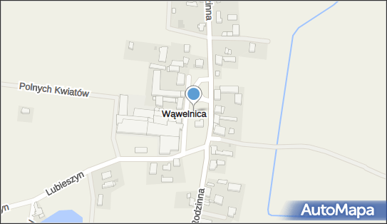 Naprawa Pojazdów Samochodowych Halina Bota, Wąwelnica 19 72-002 - Przedsiębiorstwo, Firma, NIP: 8521980092