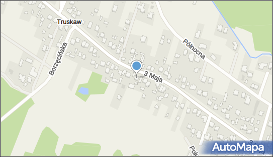 1180942594, Naprawa Pojazdów Samochodowych Wasilewski Marcin 