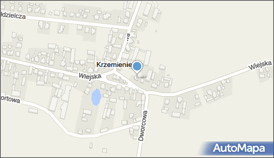 Naprawa Pralek Automatycznych Lechosław Olejniczak Krzemieniewo 64-120 - Przedsiębiorstwo, Firma, NIP: 6961142141