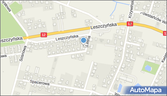 Naprawa Sprzętu Rolniczego Regeneracja Części, Leśna 2 64-113 - Przedsiębiorstwo, Firma
