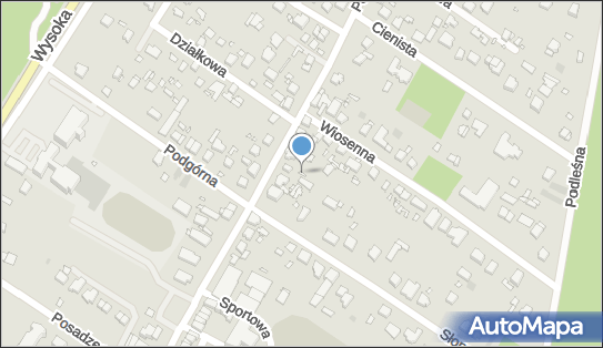 Nasza Alina Janiszczak, Poznańska 63, Puszczykowo 62-040 - Przedsiębiorstwo, Firma, NIP: 7811523907