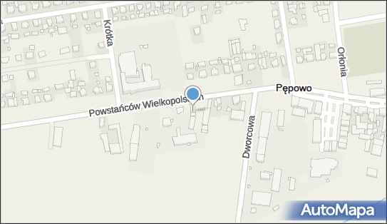 Natalia Wojtkowiak Spa Dla Psa, Powstańców Wielkopolskich 40 63-830 - Przedsiębiorstwo, Firma, NIP: 6961815108