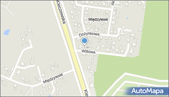 Nauczanie Języka Angielskiego Contemporary English, Willowa 3 62-510 - Przedsiębiorstwo, Firma, NIP: 6651546536