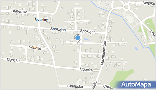6521026637, Izabela Perykasza Nauczanie Języków Obcych 