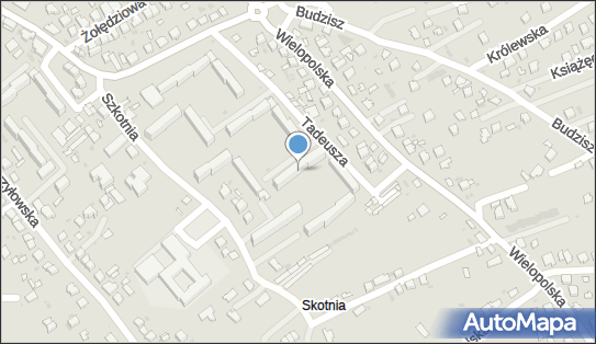 Nauka Tańca Fame Iwona Cieśla, Pana Tadeusza 14, Dębica 39-200 - Przedsiębiorstwo, Firma, NIP: 8722267260
