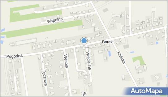 Navi-Trans, Pogodna 16, Borek 62-872 - Przedsiębiorstwo, Firma, NIP: 9680974532