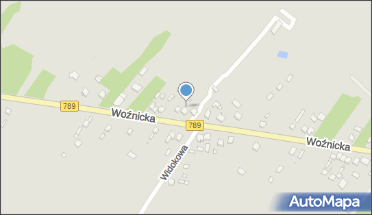 NC Paweł Puszczewicz, Woźnicka 132, Koziegłowy 42-350 - Przedsiębiorstwo, Firma, NIP: 9371813239