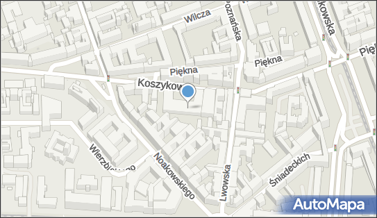 Nederpol Development & Investment S.A., Koszykowa 63, Warszawa 00-667 - Przedsiębiorstwo, Firma, numer telefonu