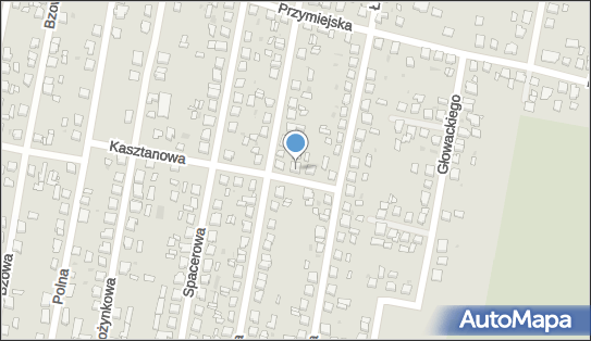 Net Com, Kasztanowa 6, Ostrów Wielkopolski 63-400 - Przedsiębiorstwo, Firma, NIP: 6221345321