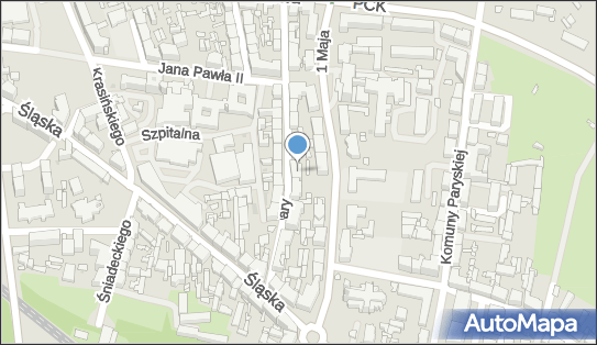 Neuroactive Paweł Grabowski, św. Barbary 9, Siemianowice Śląskie 41-100 - Przedsiębiorstwo, Firma, NIP: 6431672109