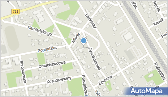 9521242704, New Men Studio, Włodzimierz Olejnik 