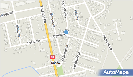 9161302254, Prywatny Gabinet Stomatologiczny Inna Niedźwiecka 