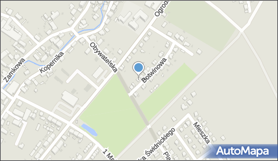 Nieman A.Pośrednictwo Handl., Pieszyce, ul. Naftalego Botwina 19 58-250 - Przedsiębiorstwo, Firma, NIP: 8821523944