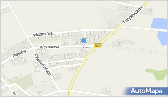 6482267867, Smyła Tomasz Indywidualna Specjalistyczna Praktyka Lekarska 