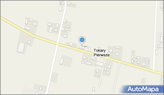 311017617, Niepubliczny Zakład Opieki Zdrowotnej Ośrodek Zdrowia 