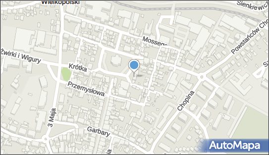 Nieregularny Przewóz Osób Grodzisk Wielkopolski 62-065 - Przedsiębiorstwo, Firma, NIP: 7881368010