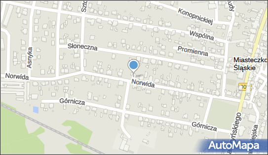 Nieruchomości Gerard Pielot, ul. Cypriana Kamila Norwida 34 42-610 - Przedsiębiorstwo, Firma, NIP: 6451439528