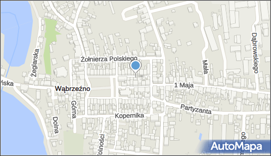 Nika Travel Centrum Turystyczno- Kredytowe Anna Ruchalska 87-200 - Przedsiębiorstwo, Firma, NIP: 8781153960