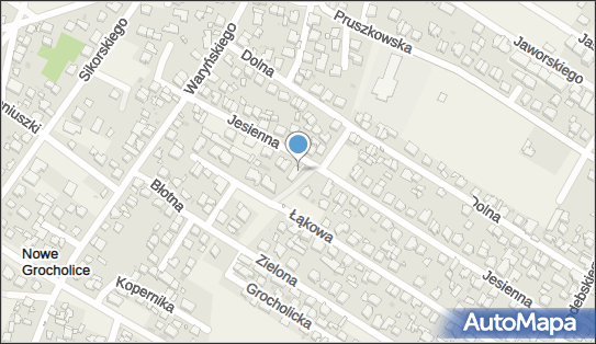 Nishica, Jesienna 33, Nowe Grocholice 05-090 - Przedsiębiorstwo, Firma, numer telefonu, NIP: 5342343800