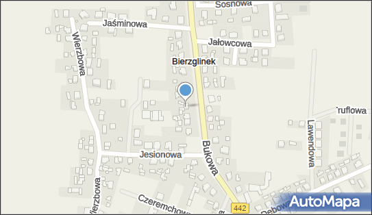 Non exist, Bukowa 34, Bierzglinek 62-303 - Przedsiębiorstwo, Firma, numer telefonu, NIP: 7891039590