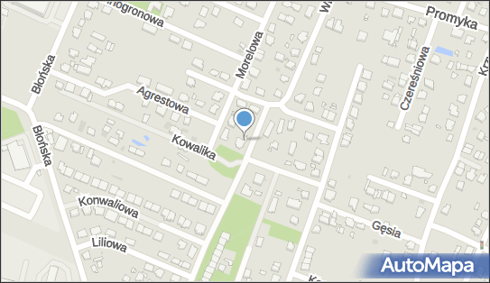 5341538482, Noris Dorota Pryk 