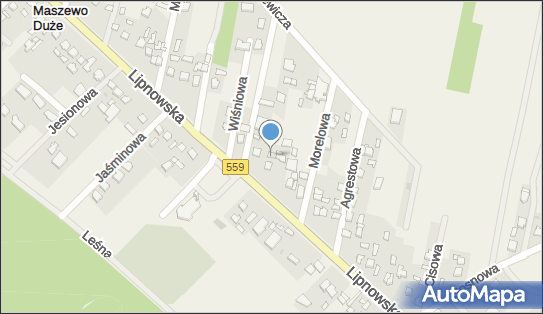 Novikon Marta Nowikow Specjalistyczne Usługi Spawalnicze 09-400 - Przedsiębiorstwo, Firma, NIP: 7742952165