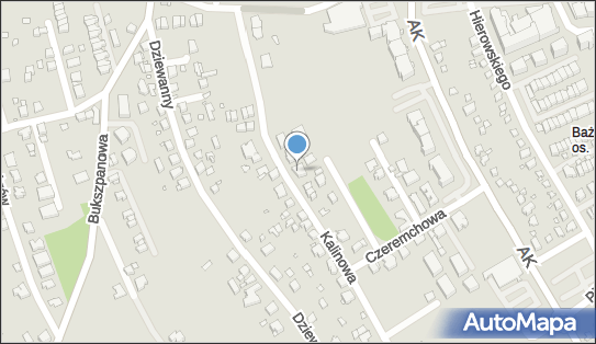 Now-Trans Nowak Piotr, Kalinowa 46A, Katowice 40-750 - Przedsiębiorstwo, Firma, NIP: 6341012585