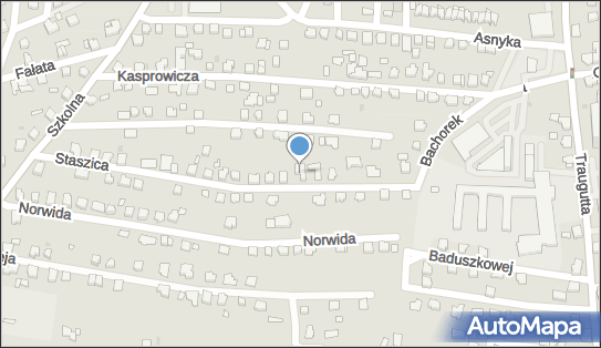 5532028496, IT Sys Nowak Krzysztof 