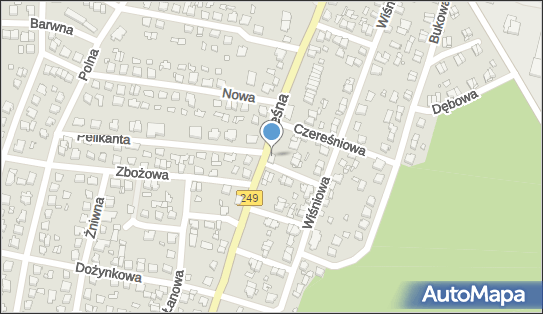 Nowalijka Aleksandra Pasterska, Leśna 49A, Solec Kujawski 86-050 - Przedsiębiorstwo, Firma, NIP: 5542442576