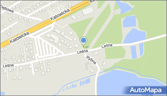 Nowe Miasto, Katowicka 24, Żory 44-240 - Przedsiębiorstwo, Firma, numer telefonu, NIP: 6511696885