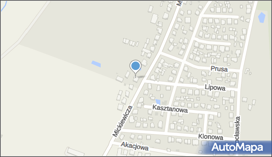 Nowicki Piotr Firma Transportowo-Handlowa, ul. Adama Mickiewicza 31 63-930 - Przedsiębiorstwo, Firma, NIP: 6991306943