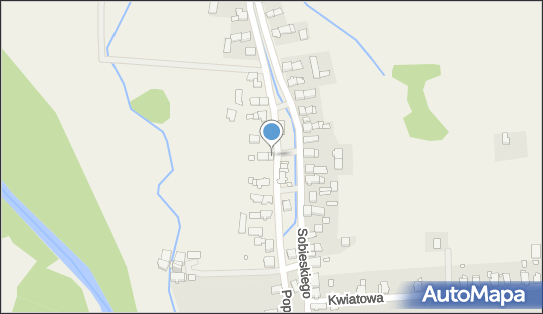 Nunez Marcin Szafirski, Bodzanów 23, Bodzanów 48-340 - Przedsiębiorstwo, Firma, NIP: 7532353524