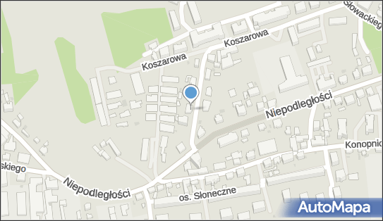 9241116329, Indywidualna Specjalistyczna Praktyka Lekarska Kazimiera Roszak 
