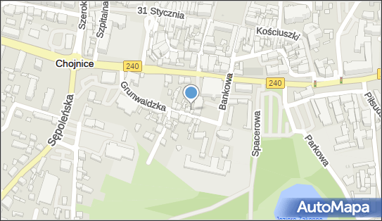 5551344413, Ognisko Baletowe Gasz-Plata Ludmiła Barbara 