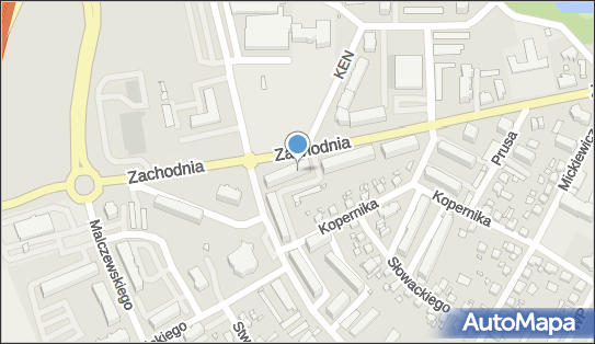 Ogrodowy Raj, ul. Zachodnia 15B, Międzyrzecz 66-300 - Przedsiębiorstwo, Firma, NIP: 5961065316