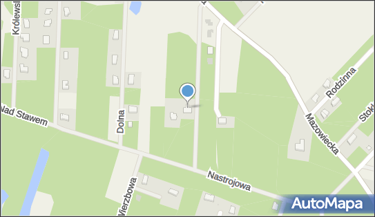 Okomedic Iwona Grabska-Liberek, ul. Mazowiecka 23A 96-321 - Przedsiębiorstwo, Firma, NIP: 5251386790