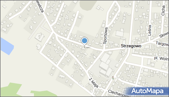 Okrój Jacek 'Auto-Trans Okrój, ul. Mickiewicza 3, Strzegowo 06-445 - Przedsiębiorstwo, Firma, NIP: 5691647214