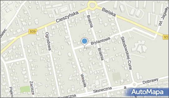 Ol Ha, Brylantowa 9, Pszczyna 43-200 - Przedsiębiorstwo, Firma, NIP: 6381252255