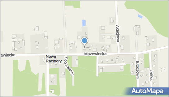 Ol Trans Transport i Spedycja, ul. Mazowiecka 105, Nowe Racibory 05-555 - Przedsiębiorstwo, Firma, numer telefonu, NIP: 1230231896