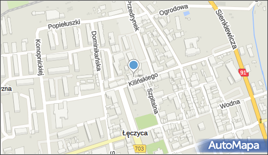 Olfarm B F Olejniczak, ul. Jana Kilińskiego 7 C, Łęczyca 99-100 - Przedsiębiorstwo, Firma, numer telefonu, NIP: 7752051400