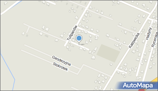 6351371475, Olpira Kazimierz Schier 